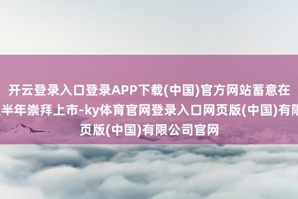 开云登录入口登录APP下载(中国)官方网站蓄意在2026年上半年崇拜上市-ky体育官网登录入口网页版(中国)有限公司官网