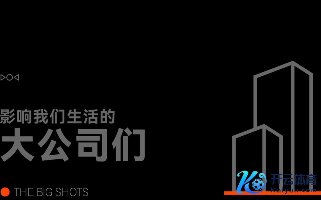 大公司
