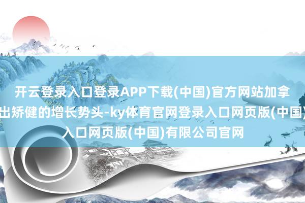 开云登录入口登录APP下载(中国)官方网站加拿大鹅相似展现出矫健的增长势头-ky体育官网登录入口网页版(中国)有限公司官网