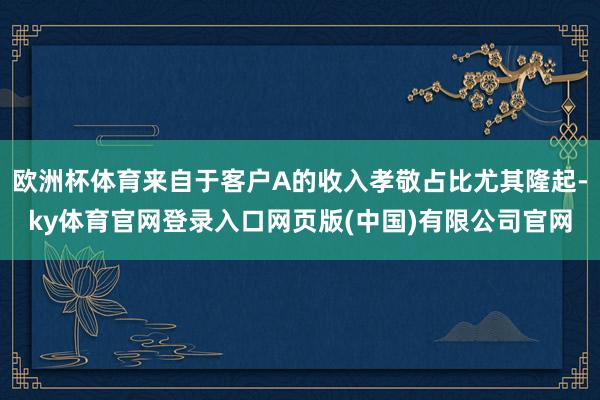 欧洲杯体育来自于客户A的收入孝敬占比尤其隆起-ky体育官网登录入口网页版(中国)有限公司官网