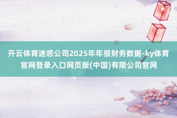 开云体育迷惑公司2025年年报财务数据-ky体育官网登录入口网页版(中国)有限公司官网