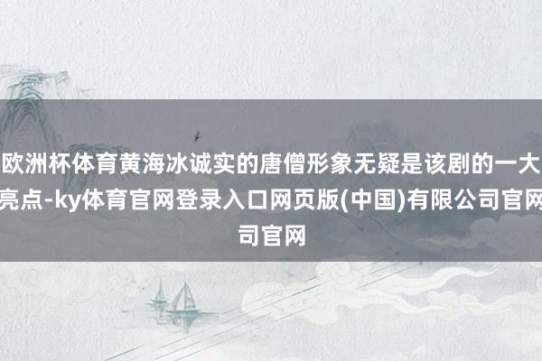 欧洲杯体育黄海冰诚实的唐僧形象无疑是该剧的一大亮点-ky体育官网登录入口网页版(中国)有限公司官网